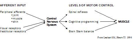 CNS.JPG